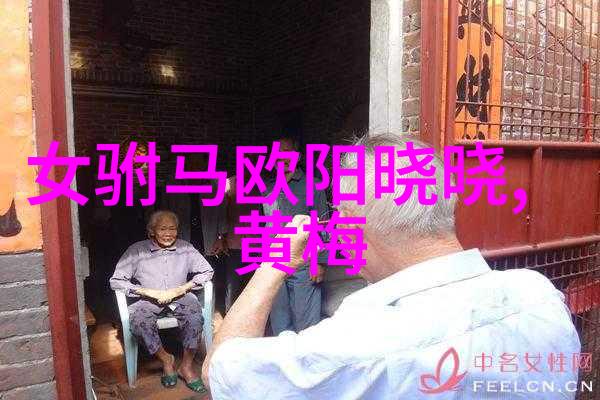黄梅戏主调 黄梅戏有多少调