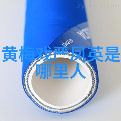 黄梅戏演员邬云介绍