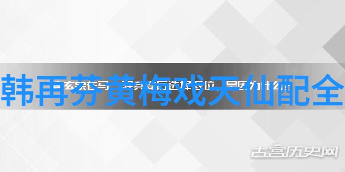 黄梅戏未了情
