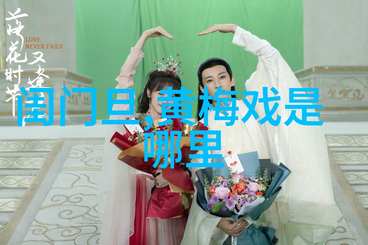 黄梅戏融南合北的品格特征展现