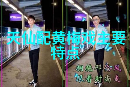黄梅戏艺术大师严凤英专题研讨会发言